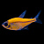 Пристелла GloFish Оранжевая